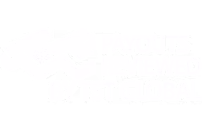 Payouts Reviewed by TST Global